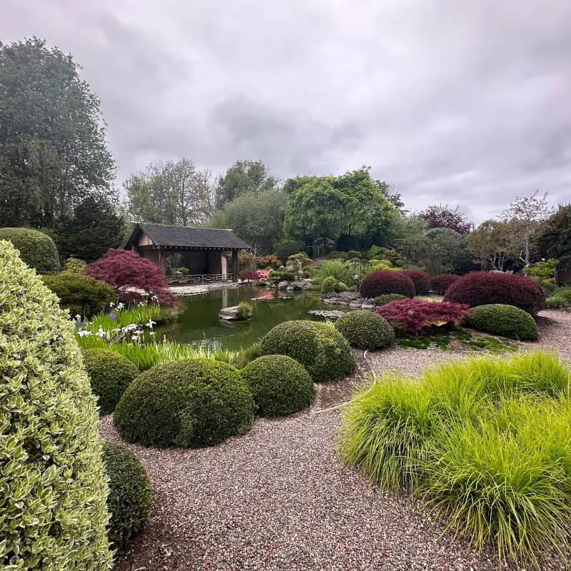 Serene Japanese garden with pond and greenery.
